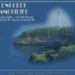 1ère version du site de l'agence Concorde Immobilier à Biarritz