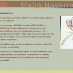 Maïté Navarre est une artiste qui peint à la main des porcelaines. Visitez sa galerie !